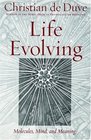 Life Evolving Molecules Mind and Meaning