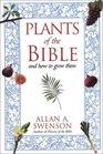 Plants of the Bible And How to Grow Them