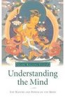 Understanding the Mind An Explanation of the Nature Types and Functions of Mind