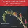 Experiences with Mahamudra The Lama of Appearances Learning Dharma Through Nature