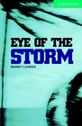Eye of the Storm Level 3 Lower Intermediate Book with Audio CDs  Pack