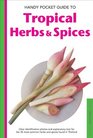 Handy Pocket Guide to Tropical Herbs  Spices