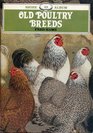 Old Poultry Breeds