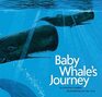 Baby Whale's Journey