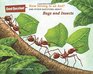 How Strong Is an Ant And Other Questions about Bugs and Insects