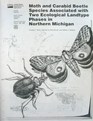 Moth and carabid beetle species associated with two ecological phases in northern Michigan