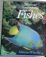 World Encyclopaedia of Fishes