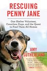 Rescuing Penny Jane One Shelter Volunteer Countless Dogs and the Quest to Find Them All Homes