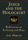 Jesus and the Holocaust Reflections on Suffering and Hope