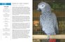 The Handbook Of Cage And Aviary Birds