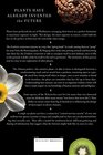 The Revolutionary Genius of Plants: A New Understanding of Plant Intelligence and Behavior
