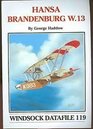 Windsock Datafile No 119  Hansa Brandenburg W13
