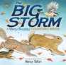 The Big Storm A Very Soggy Counting Book