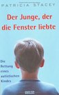 Der Junge der die Fenster liebte