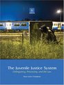 Juvenile Justice System The