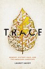 Trace Memory History Race and the American Landscape