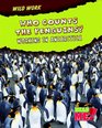 Who Counts the Penguins Working in Antarctica