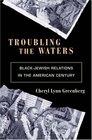 Troubling the Waters BlackJewish Relations in the American Century