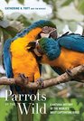 Parrots of the Wild A Natural History of the World's Most Captivating Birds
