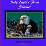 Baby Eagle's First Summer
