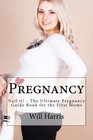 Pregnancy Nail it  The Ultimate Pregnancy Guide Book for the First Moms