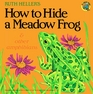 How to Hide a Meadow Frog and Other Amphibians (All Aboard)