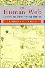 The Human Web: A Bird's Eye View of World History