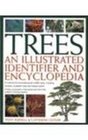 Trees Illus Identifier  Encyclo