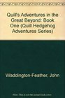 Quill's Adventures in the Great Beyond/Book One