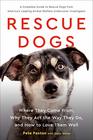 Rescue Dogs Where They Come From Why They Act the Way They Do and How to Love Them Well