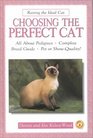 Choosing the Perfect Cat