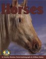 Horses (Early Bird Nature Books)