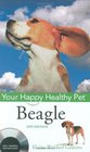 Beagle Your Happy Healthy Pet
