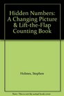 Hidden Numbers A Changing Picture  LifttheFlap Counting Book