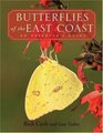 Butterflies of the East Coast  An Observer's Guide