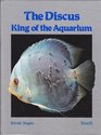 The Discus King of the Aquarium
