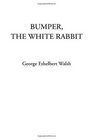 Bumper The White Rabbit