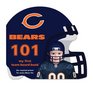 Chicago Bears 101