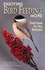 Enjoying Bird Feeding More: Great Ideas for Your Backyard