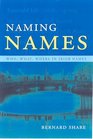 Naming Names Who What Where in Irish Names