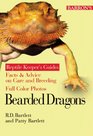 Bearded Dragon Facts  Advice on Care and Breeding