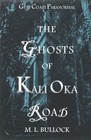 The Ghosts of Kali Oka Road (Gulf Coast Paranormal, Bk 1)
