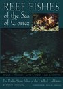 Reef Fishes of the Sea of Cortez The RockyShore Fishes of the Gulf of