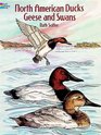 North American Ducks, Geese and Swans