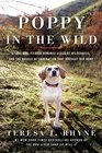 Poppy in the Wild: A Lost Dog, Fifteen Hundred Acres of Wilderness, and the Dogged Determination that Brought Her Home