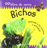Bichos/little Animals