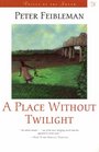 A Place Without Twilight