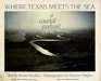 Where Texas meets the sea A coastal portrait