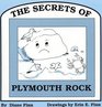 The Secrets of Plymouth Rock