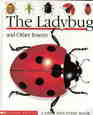 The Ladybug and Other Insects